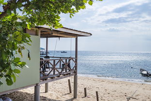 九游娱乐APP-绿色场馆覆盖智能环保系统，推动全球体育绿色低碳行动，绿色场馆建设